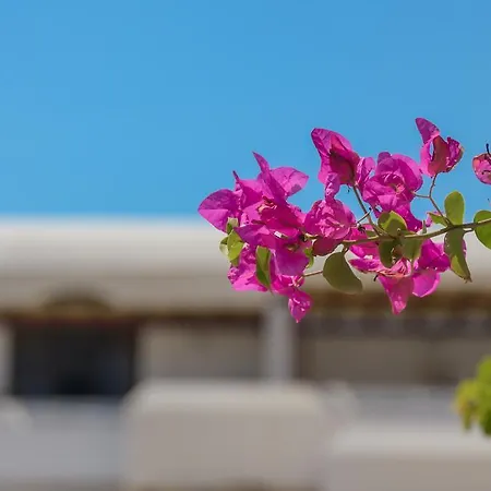 Apartmán Victoria & *