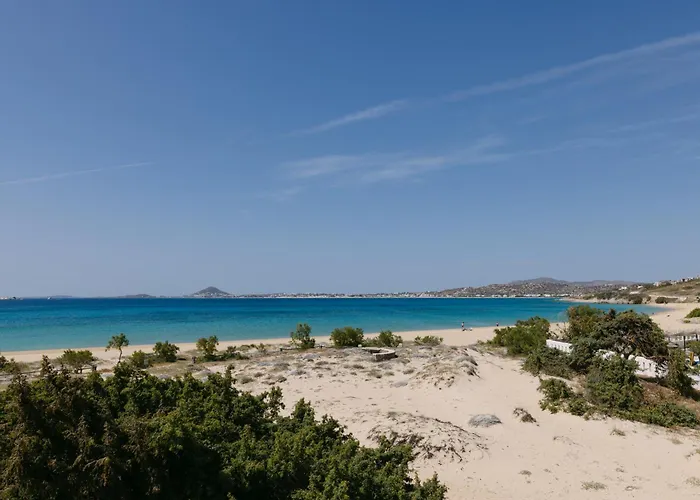 Victoria & 米科利维亚